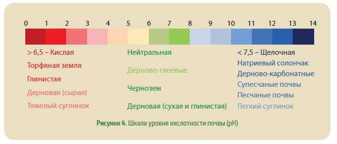 Подготовка почвы для рассады томатов