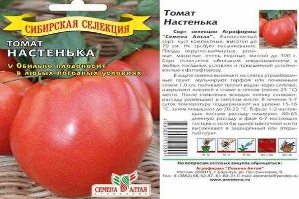 Томат «клуша»: характеристики сорта, особенности выращивания