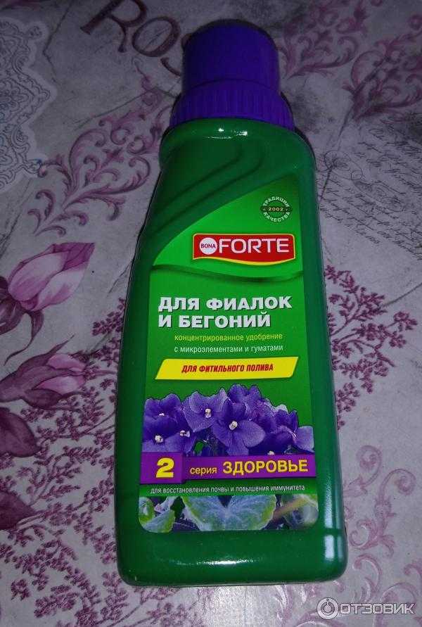 Фиалки | удобрения для пышного цветения фиалок