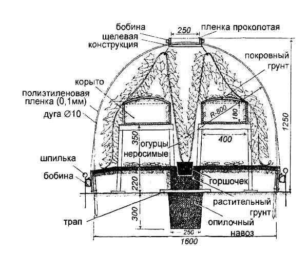 Вентиляция для шампиньонов схема - 98 фото