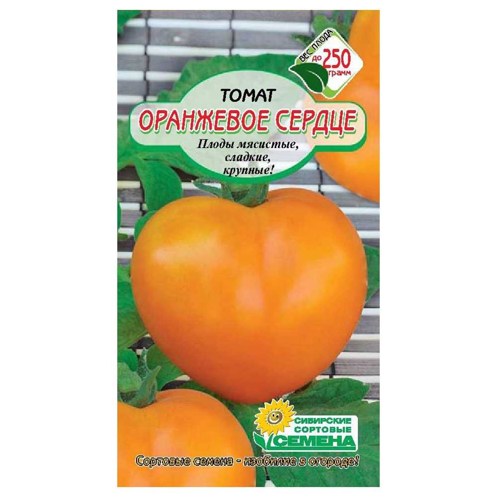 Салатный сорт из популярной селекции мязиной — томат сердцеед: полное описание помидоров и их характеристики
