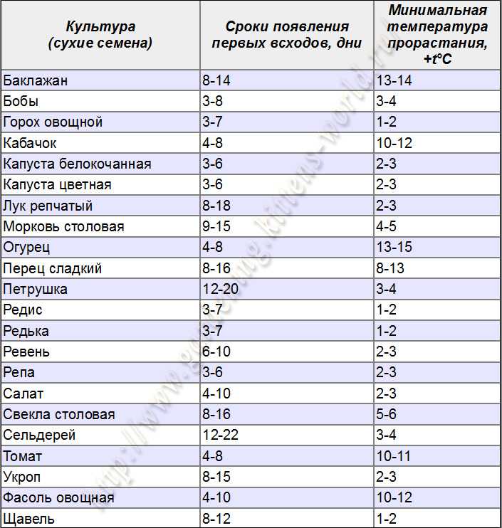 Как правильно сушить болгарский перец в электросушилке: подготовка плодов, особенности хранения