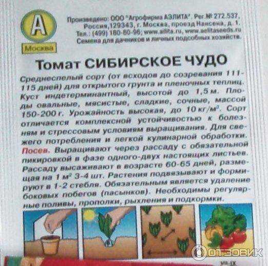 Томат сибирское чудо: отзывы + фото
