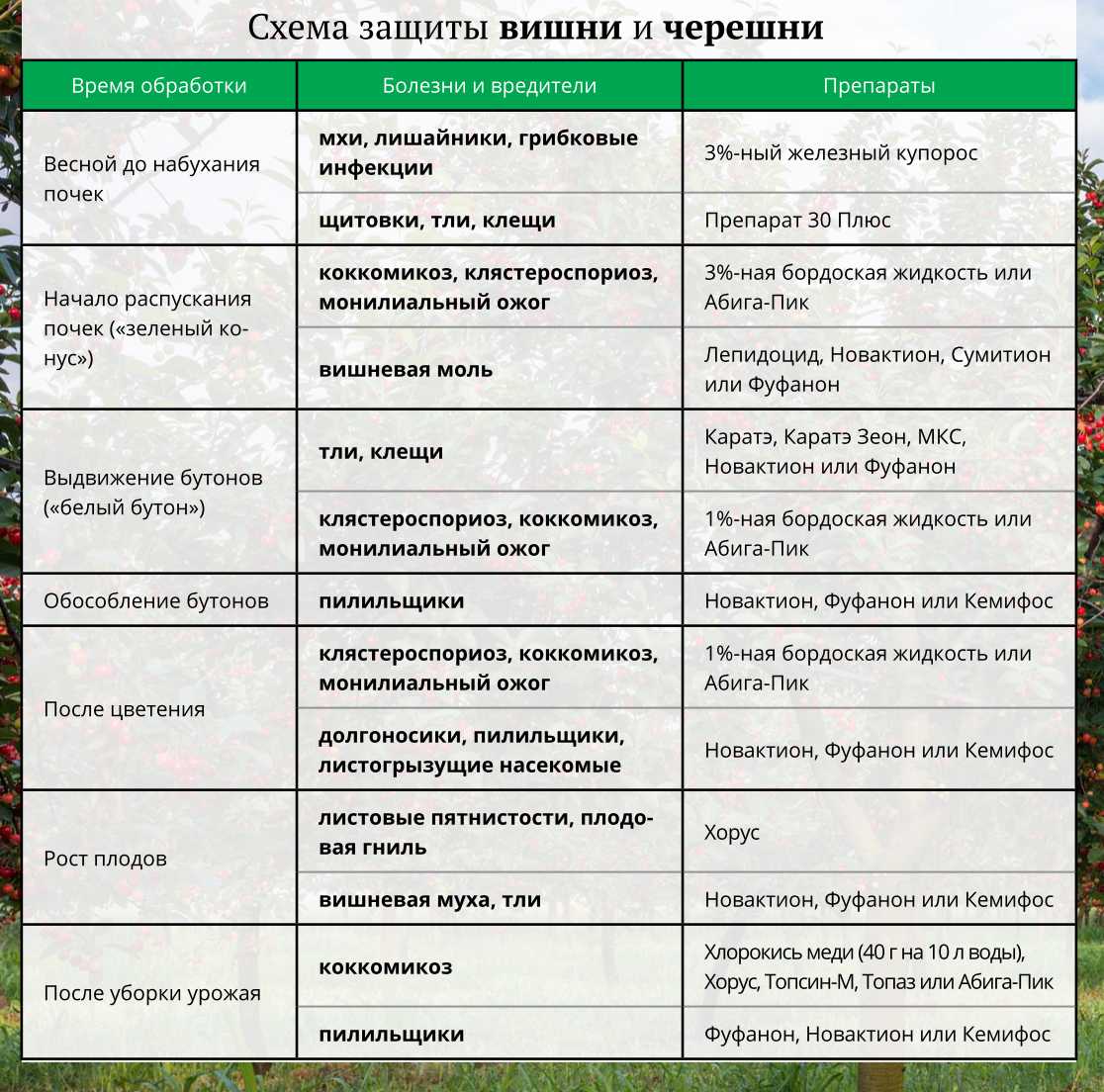 Практические рекомендации по весенним работам в саду Какие работы следует проводить в Марте, апреле, мае: обрезка, подкормка, защита от насекомых и болезней