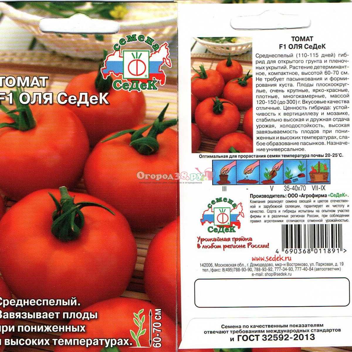 Сорт томатов оля f1. Томат сорт Оля f1 характеристика. Томат Оля f1 Ильинична. Семена томат Оля СЕДЕК f1*. Томат Оля f1 высота куста.