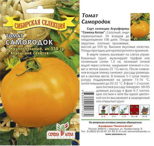 Томат краснобай