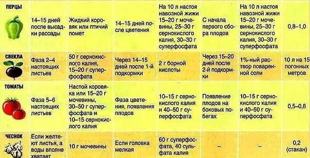 Удобрения для овощных культур