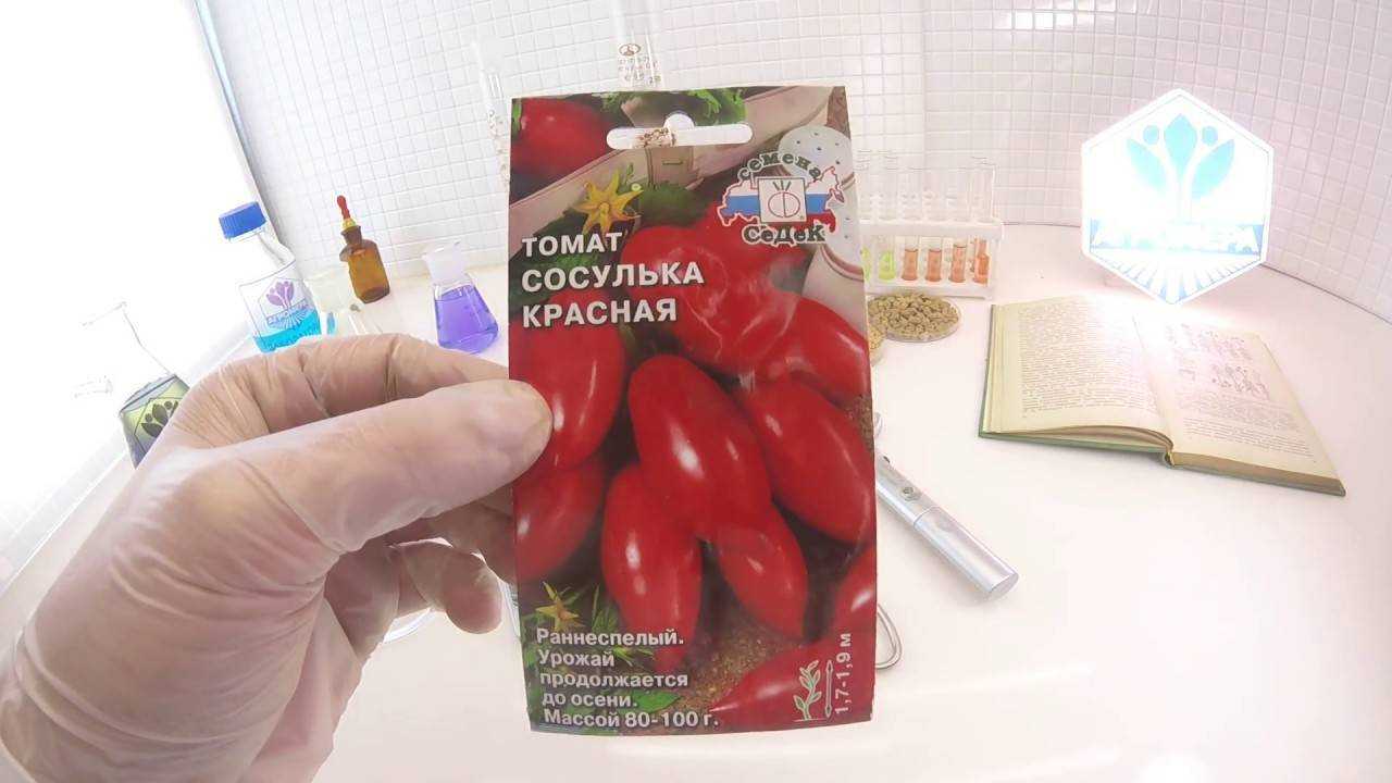 Томат "сосулька красная": описание и характеристики сорта красивых помидор русский фермер