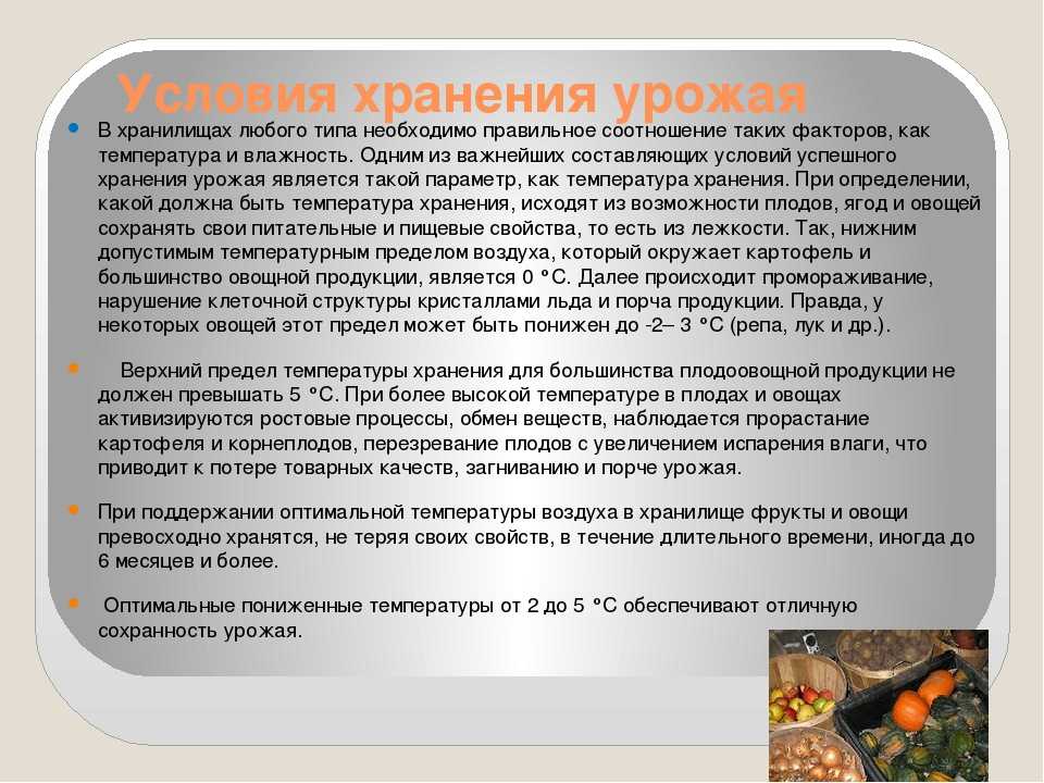 Какой срок хранения очищенных овощей и как правильно их хранить | все очень просто