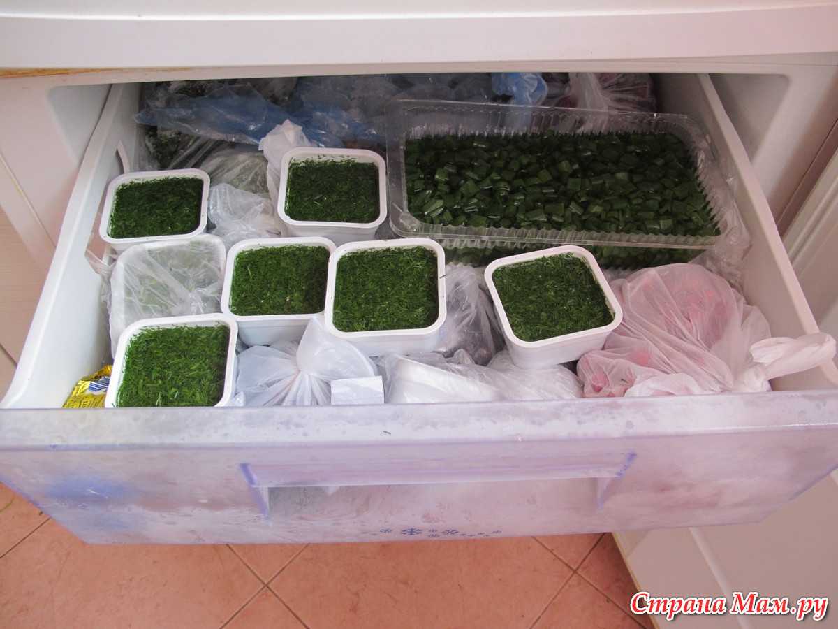 Трава заморозка. Контейнер для заморозки зелени. Хранение зелени. Замороженная зелень в контейнере. Заготовки для замораживания.