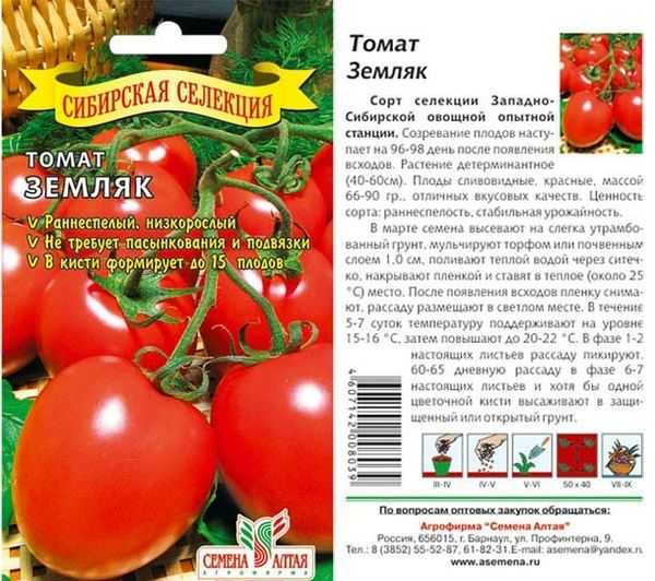 Томат чудо земли: описание сорта, характеристика, выращивание, отзывы, фото