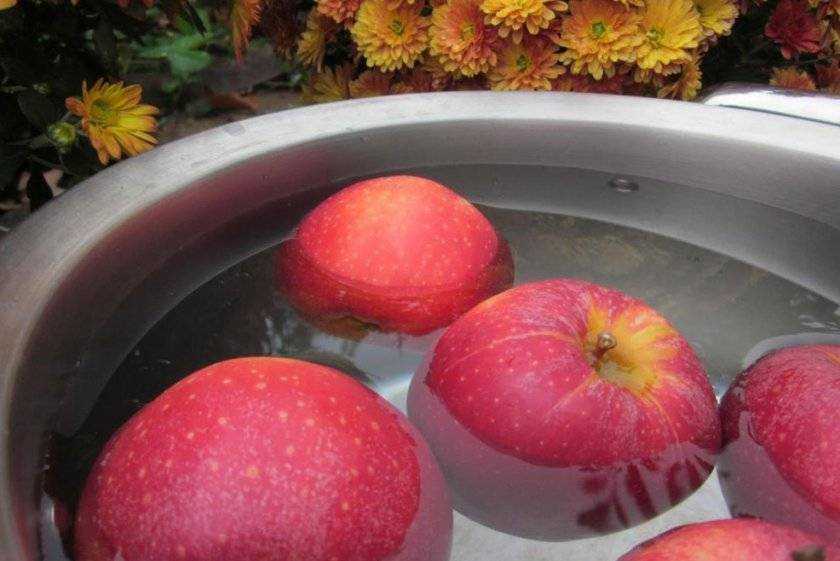Как правильно засушить яблоки на зиму