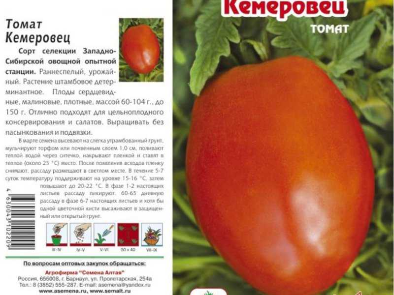 Томат рапунцель: описание, фото выращенного урожая, преимущества и недостатки сорта, советы по уходу