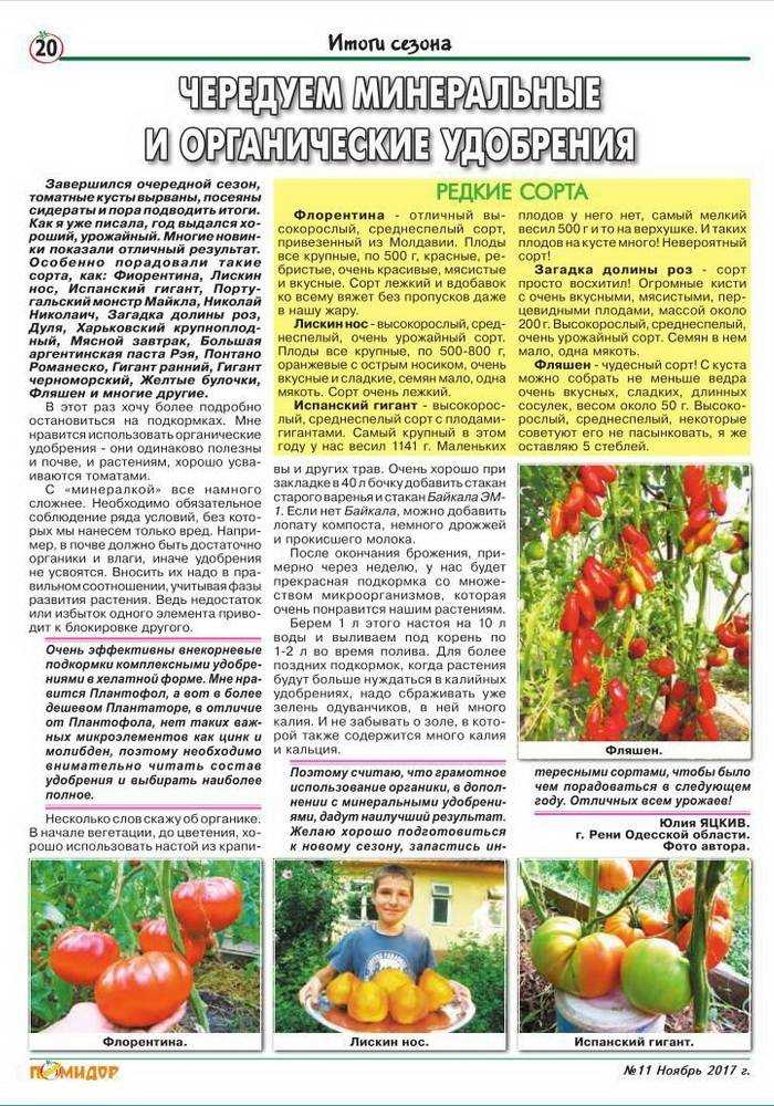 Подкормка томатов: как, когда и чем подкормить томаты