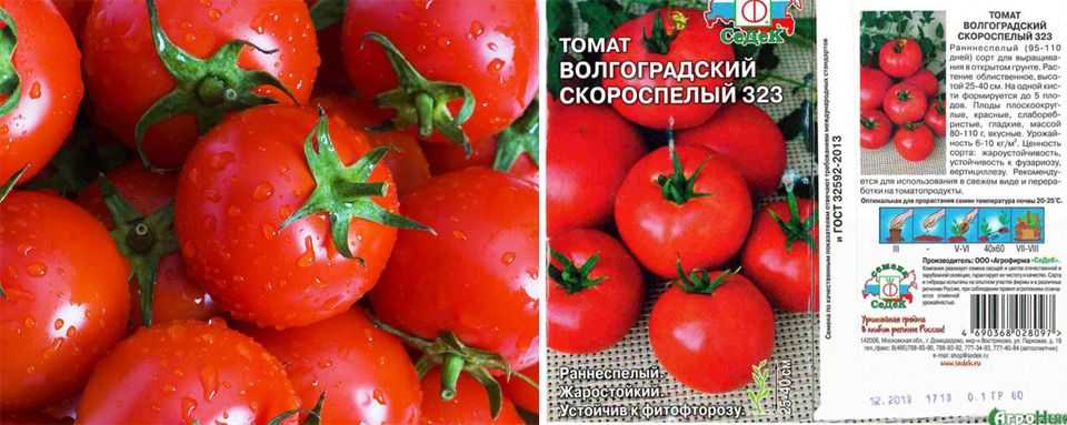 Сорт томата волгоградский фото и описание
