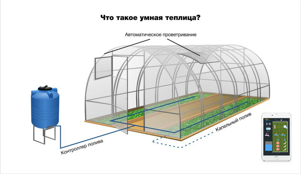 Умная теплица презентация