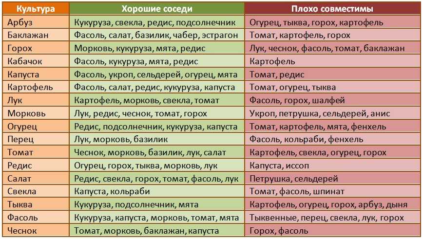 Совмещенные посевы. что с чем сажать. огород по-русски. мало сажаем, много собираем