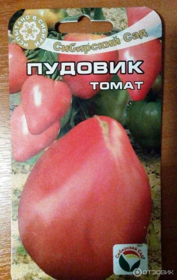 Томат «пудовик»: характеристика и описание сорта, отзывы и урожайность
