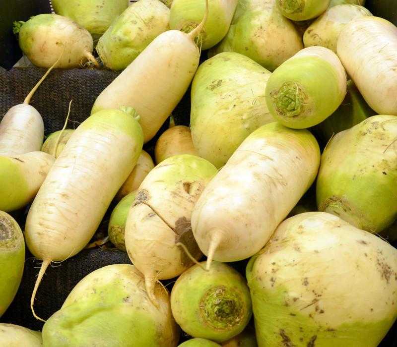 Редька: лечебные свойства и калорийность | food and health