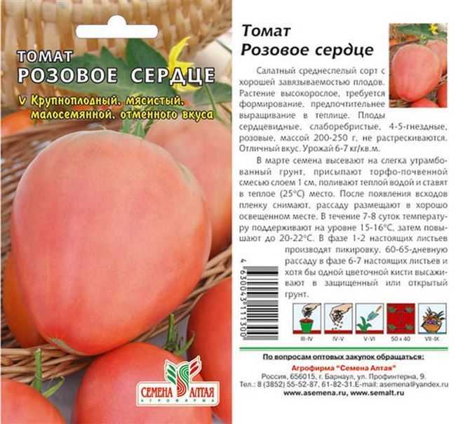 Собираем богатый урожай, соблюдая правила ухода — томат «ляна» и методика его выращивания