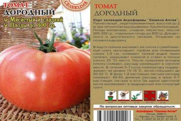 Томат оля