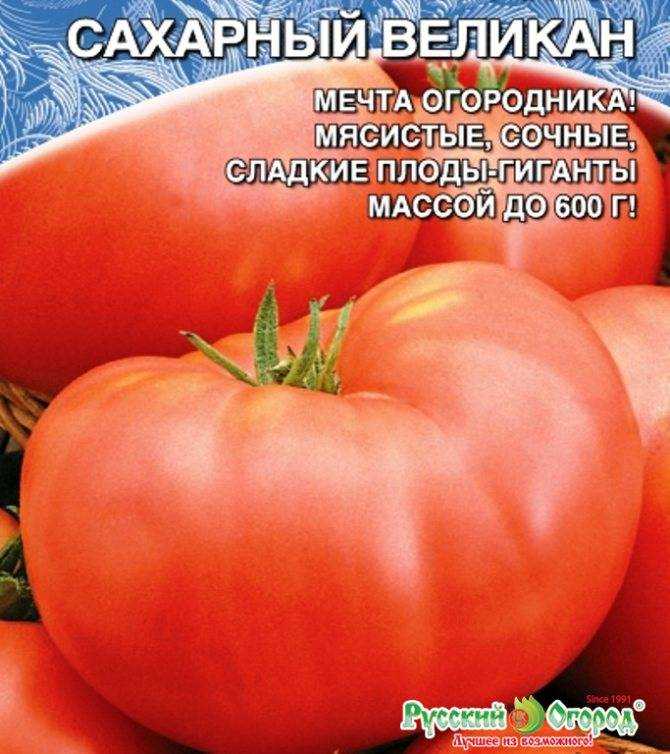 Малина исполин: преимущества сорта, условия получения крупноплодного урожая