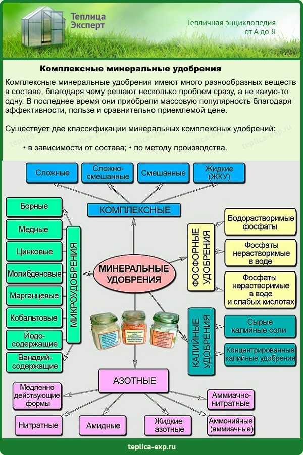 Топ-20 лучших натуральных удобрений для огорода