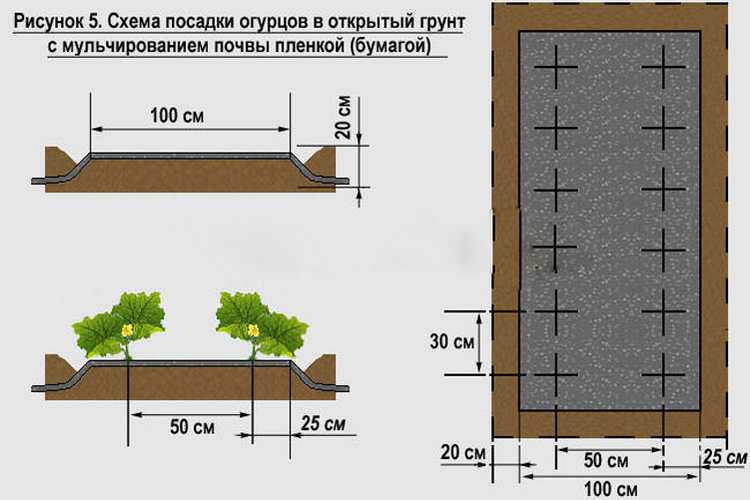 Грядка бублика схема