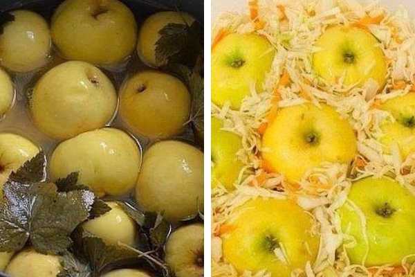 Моченые яблоки на зиму в домашних условиях: простые и вкусные рецепты