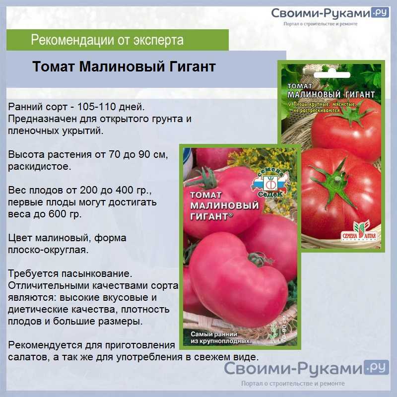 Обзор томата кибиц: фото, особенности, отзывы о сорте