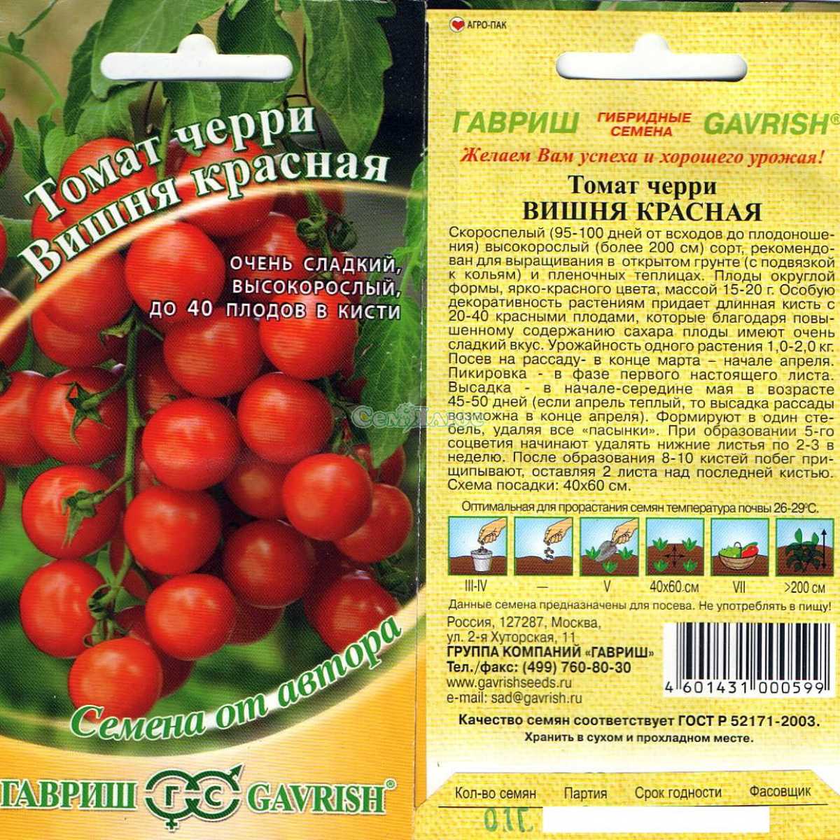 Томат черная гроздь