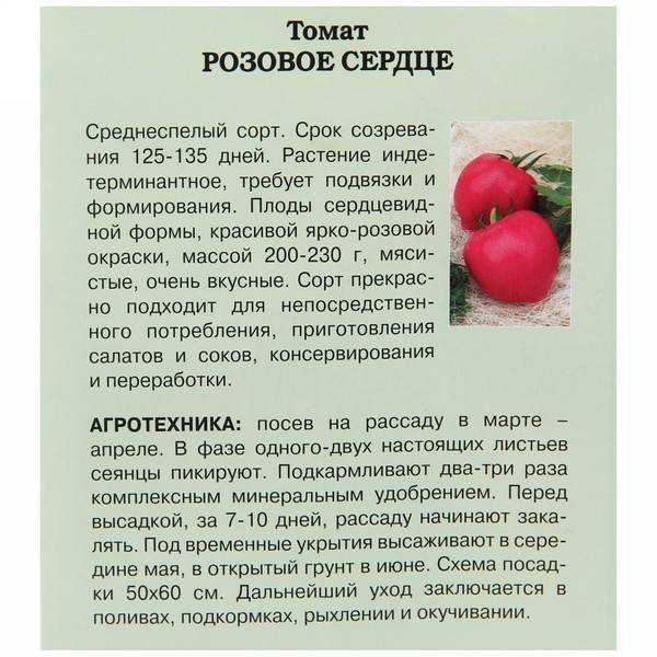 Томаты — описание, фото, характеристики, сорта, посадка, выращивание и уход