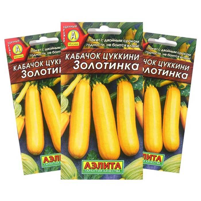 Посадка и уход за кабачками от посева до сбора урожая