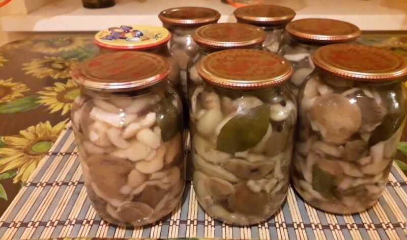 Грибы маринованные на зиму — 5 вкусных рецептов приготовления