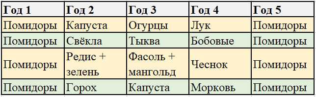 Что можно, а что нельзя сажать после томатов?