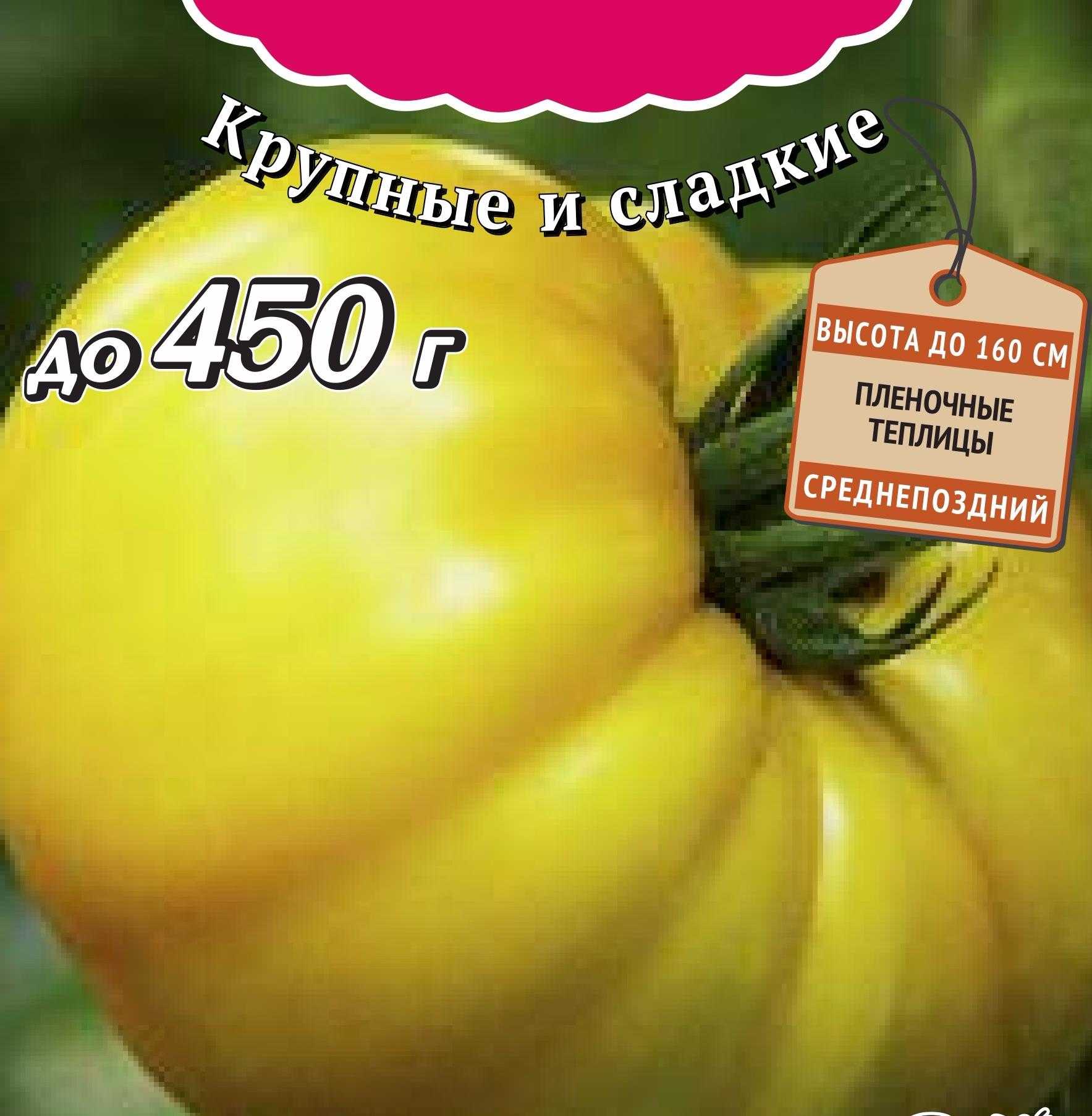 Сорта томатов и как их выбрать