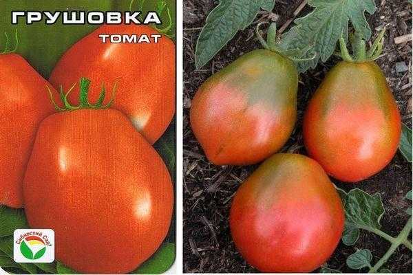 Томат грушовка характеристика и описание сорта отзывы с фото