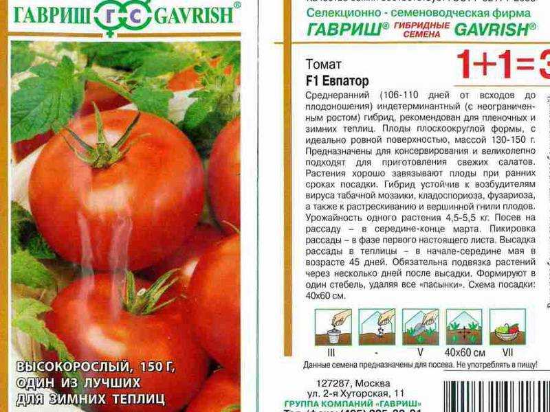 Кто не слышал о томате интуиция? описание, характеристика, фото — все найдется здесь!