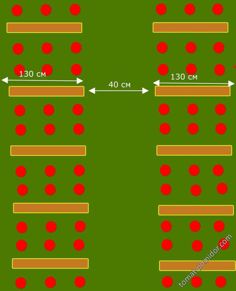 Шахматная схема посадки томатов