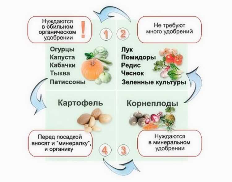 Что сажать после картошки. предшественники картофеля