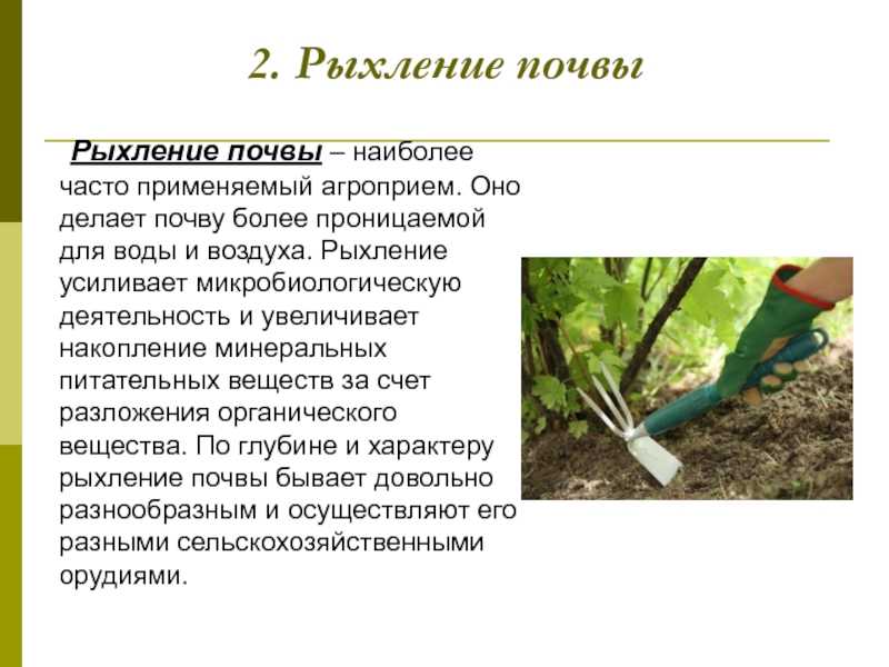 Подготовка грядок весной - шпаргалка для новичков