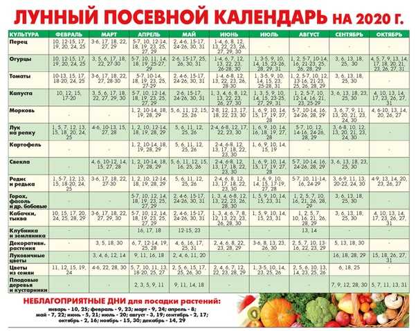 Посадка помидор на рассаду: когда и как сеять (сажать) томаты на рассаду в 2018 году?