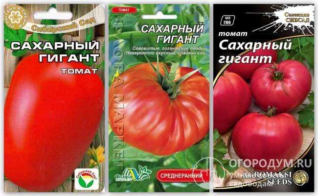 Томат сахарный гигант характеристика. Сорт помидор сахарный гигант. Семена томат сахарный гигант. Томат сахарный гигант Сибирский сад.