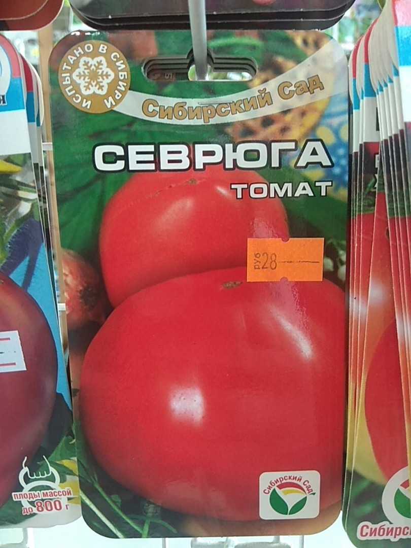 Пудовик урожайность. Томат Пудовик севрюга. Сорт севрюга томат. Сорт помидор севрюга. Семена томат севрюга.