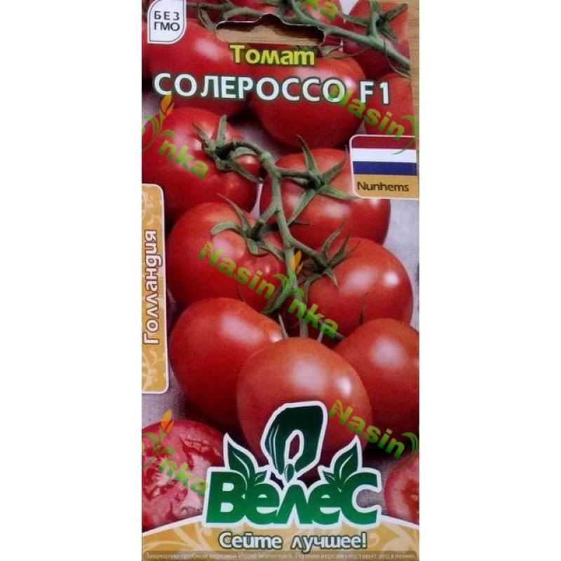 Сорт томатов солероссо: описание, характеристика и отзывы, фото, а также особенности выращивания