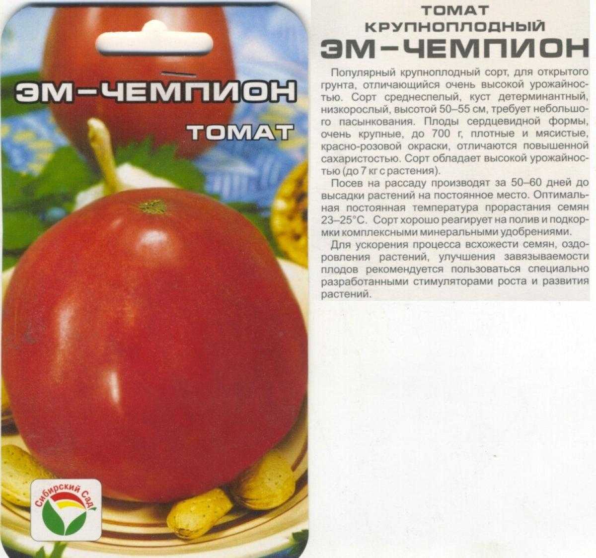 Загар томат урожайность