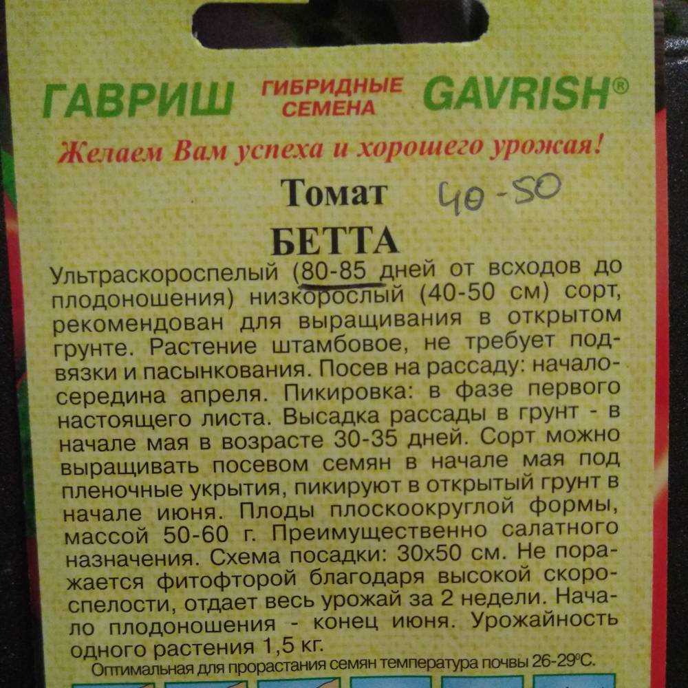 Сорт томатов бетта, описание, характеристика, фото и отзывы тех, кто сажал, а также особенности выращивания