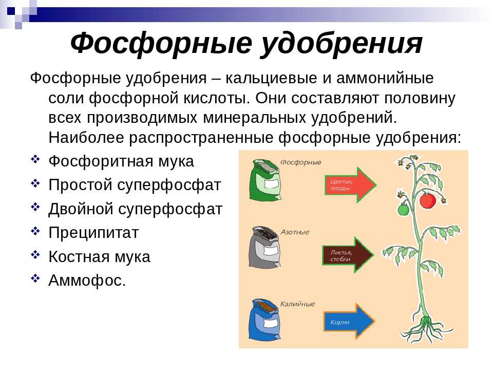 Азотно-фосфорно-калийное удобрение: инструкция по применению для разных культур, свойства, описание