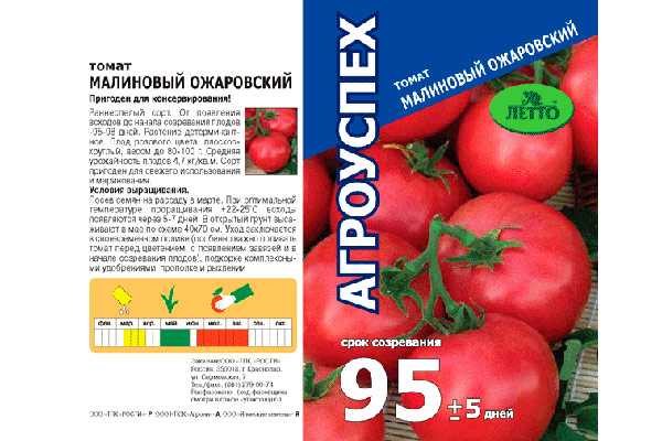 Сорт Ожаровский Малиновый - удачный вариант для подсобных хозяйств Томаты лучше высаживать в теплицу, при должном уходе высокая урожайность гарантирована Описание сорта и рекомендации по выращиванию