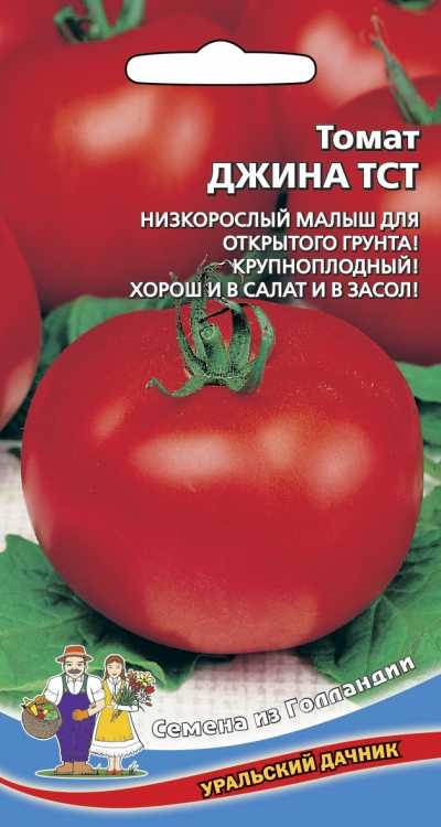 Томат джина — описание сорта с фото